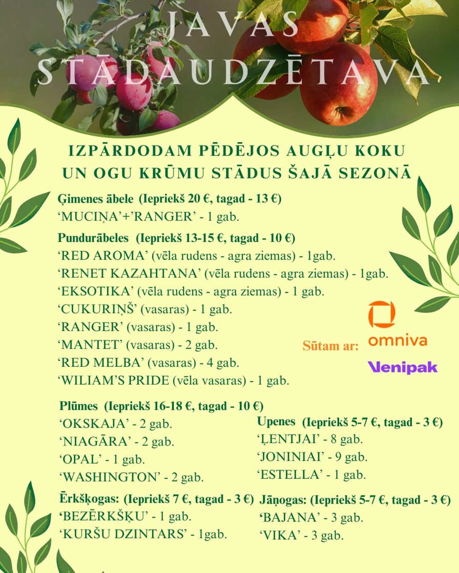 izpardosana_auglu_koki__ogu_krumi_stadi_javas_stadaudzetava_priekulos_vidzeme_cesis_vinogas.jpg