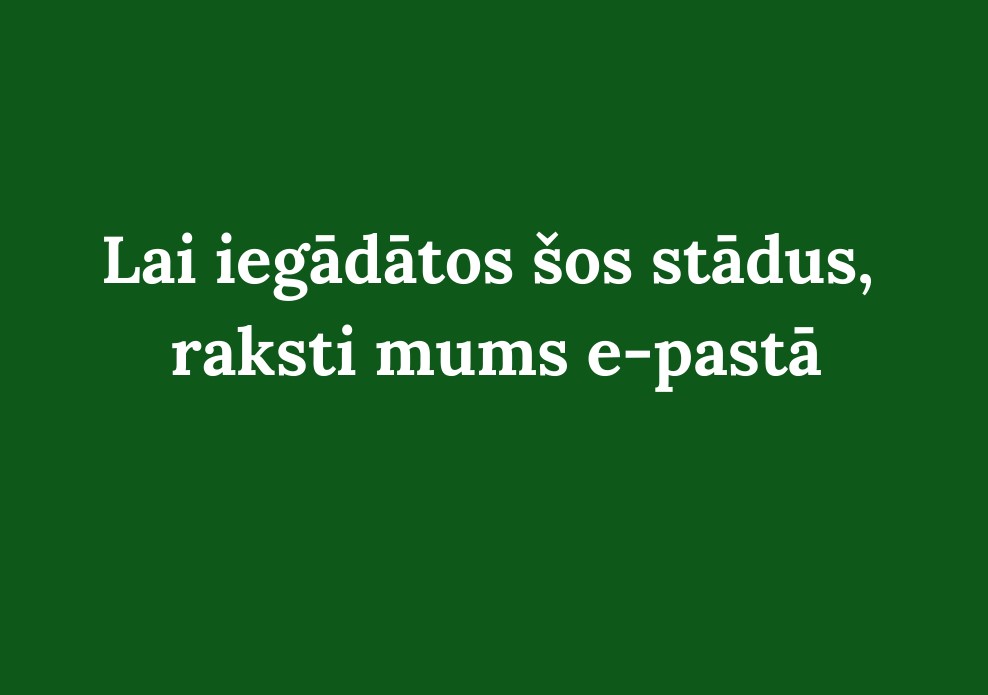 stadi_javas_stadaudzetava-3.jpg